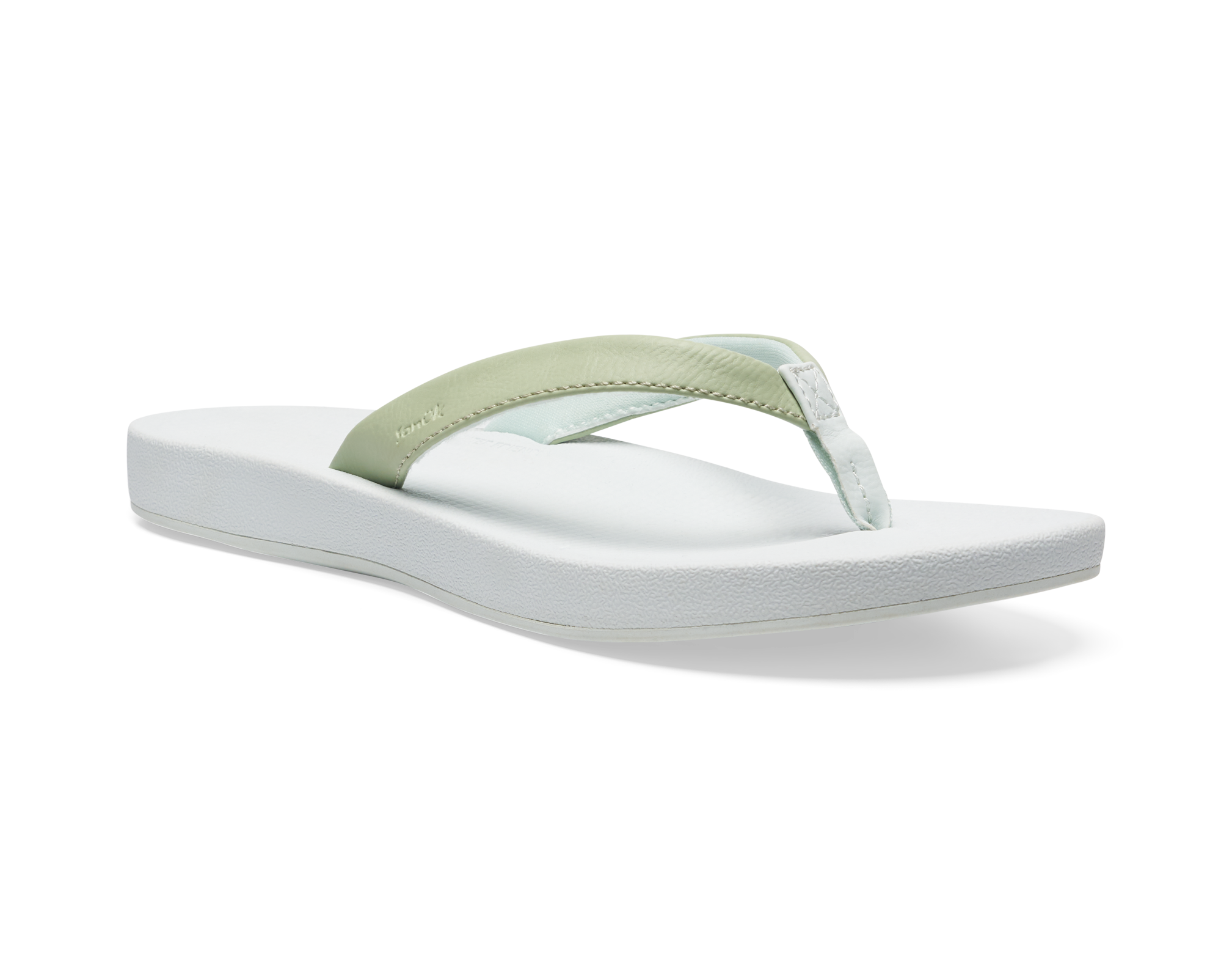 (Laurel Green/Spa Blue)