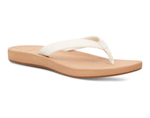 Cosmic Shores (white)