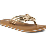 (gold/tan)