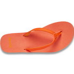 (neon coral papaya)