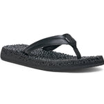 (black)