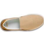 (turtledove multi)