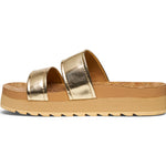 (gold)