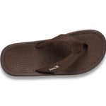 (true brown)