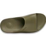 (olive)