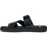 (black)