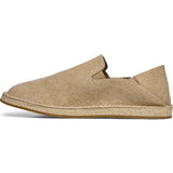 (brown rice canvas)