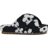 (black daisy)
