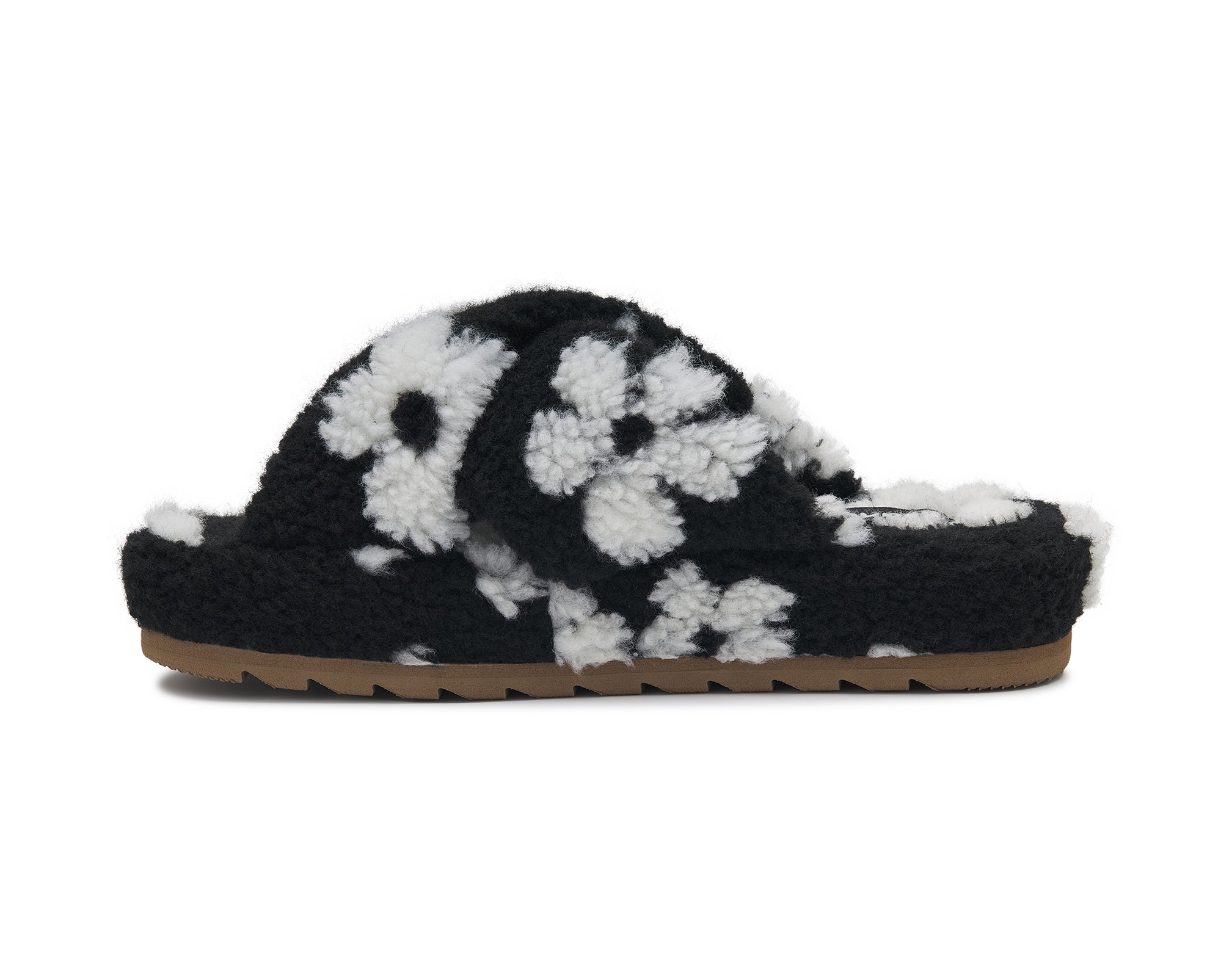 (black daisy)