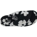 (black daisy)