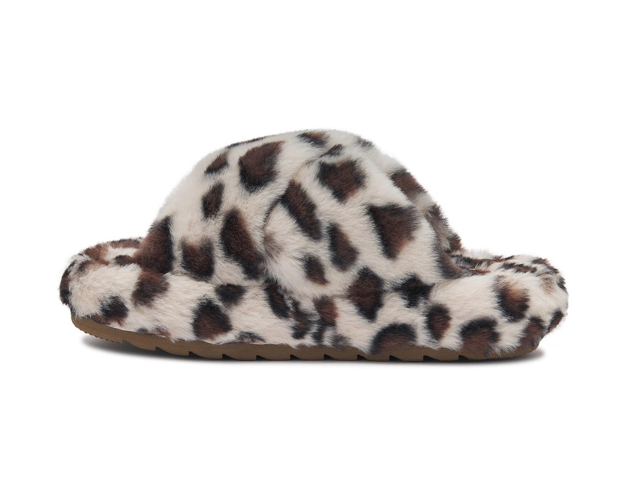 (leopard)