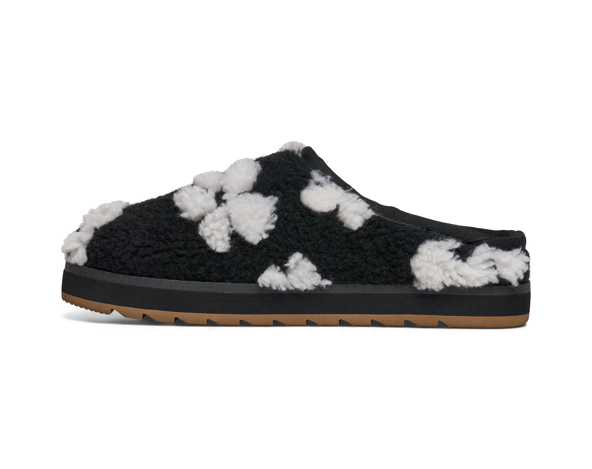 (black daisy)