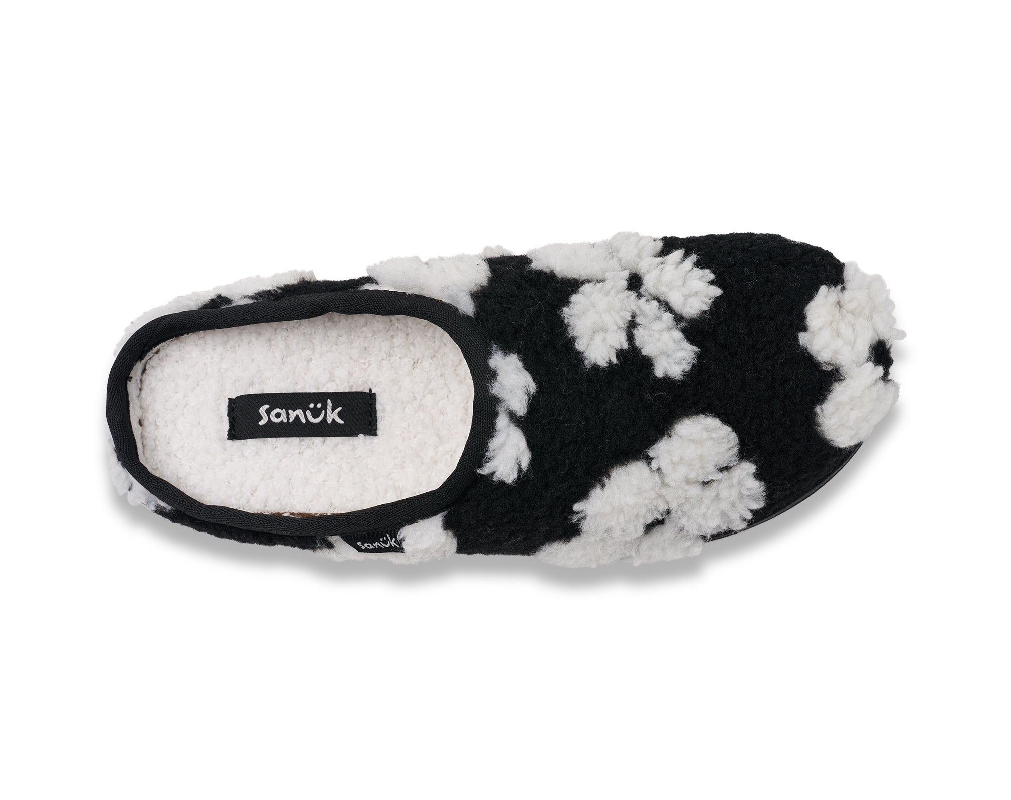 (black daisy)