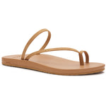 (tan)