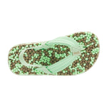(mint chocolate)