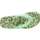 (mint chocolate)