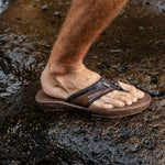 (brown)