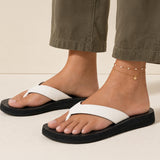 (white / black)